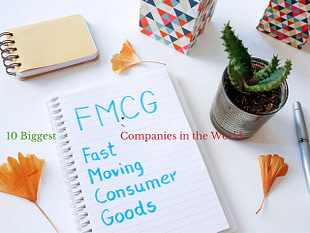 Top 10 Biggest Fmcg Companies In The World 21 The Enumeration