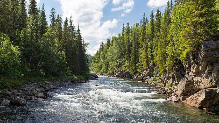 Top 10 Longest Rivers in the World 1 longest rivers